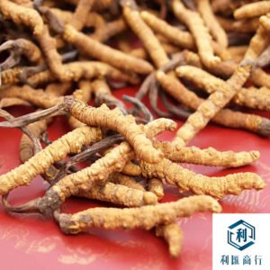 回收雲南迪慶冬蟲夏草｜上門收購專家