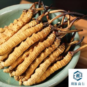 「利匯商行 | 香港專業回收冬蟲夏草・免費估價