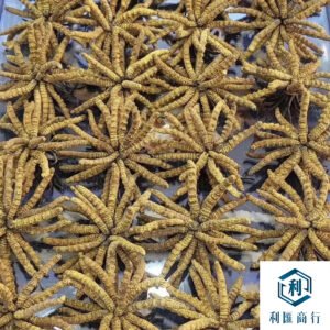 高價回收四川冬蟲夏草｜公正鑑定、專人上門收購