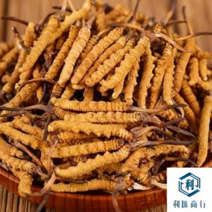 西藏冬蟲夏草回收選利匯商行｜省心服務