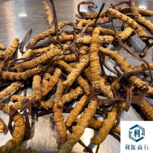 西藏那曲 / 拉薩精品冬蟲草回收_提供免費鑑定估值