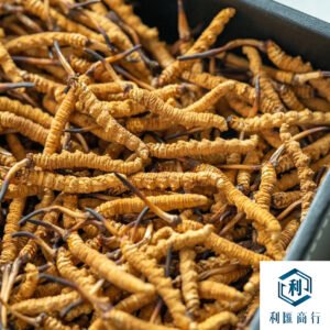 西藏那曲冬蟲夏草回收_鑑定標準_常見問題解答